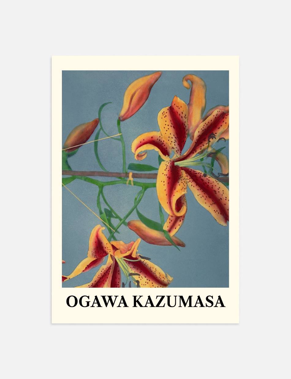 Lily Hand Colored - Ogawa Kazumasa
