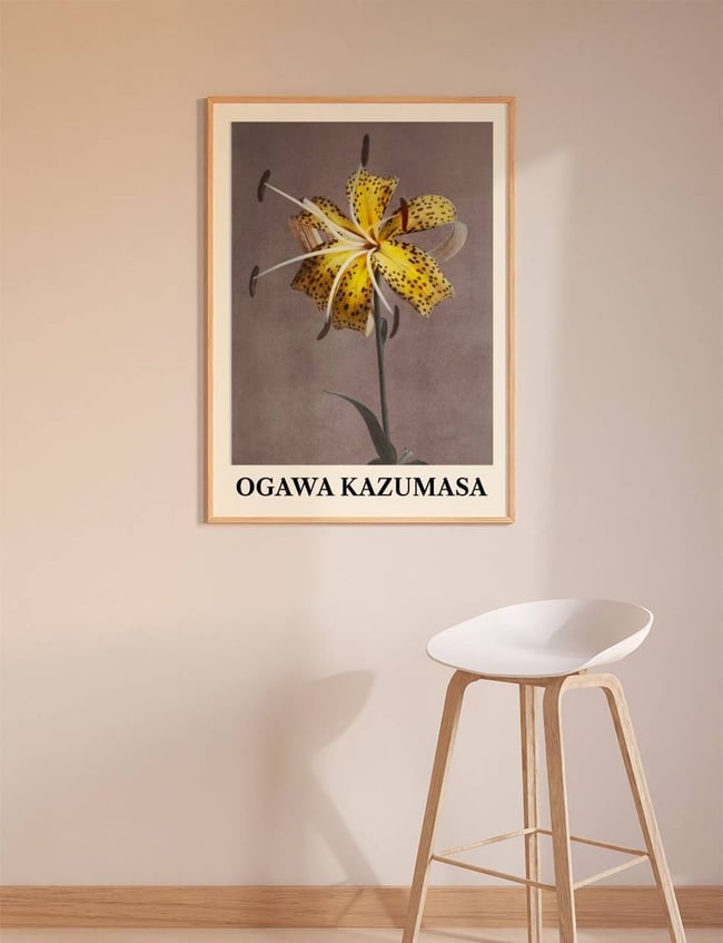 Lily - Ogawa Kazumasa