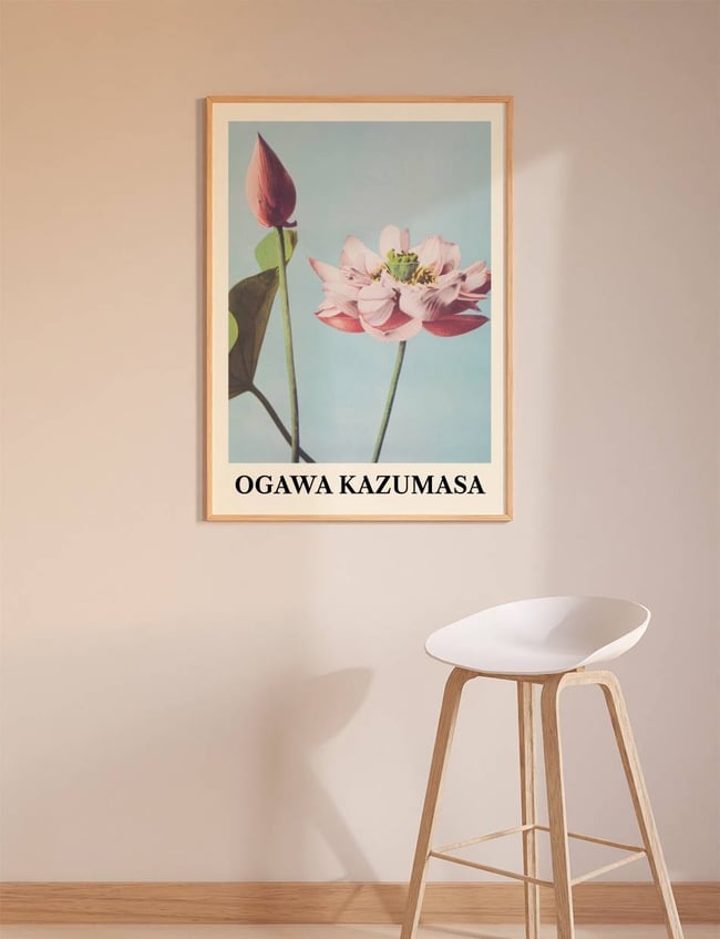 Lotus Flowers - Ogawa Kazumasa