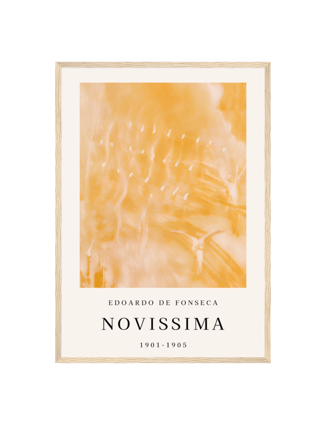 Novissima - Edoardo de Fonseca