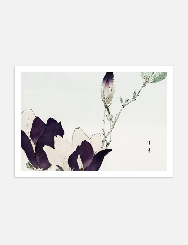 Purple Magnolia - Taguchi Tomoki