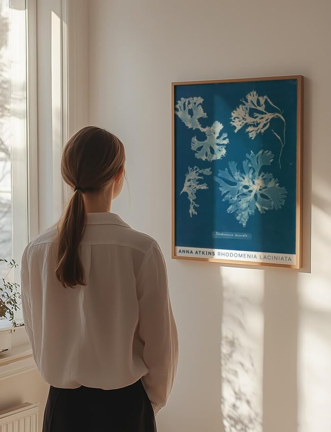 Rhodomenia Laciniata - Anna Atkins