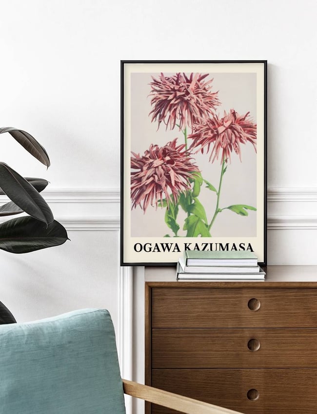 Three Pink Chrysanthemum - Ogawa Kazumasa