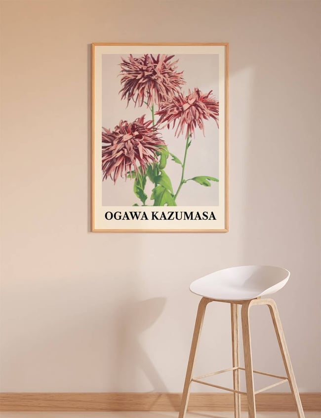 Three Pink Chrysanthemum - Ogawa Kazumasa