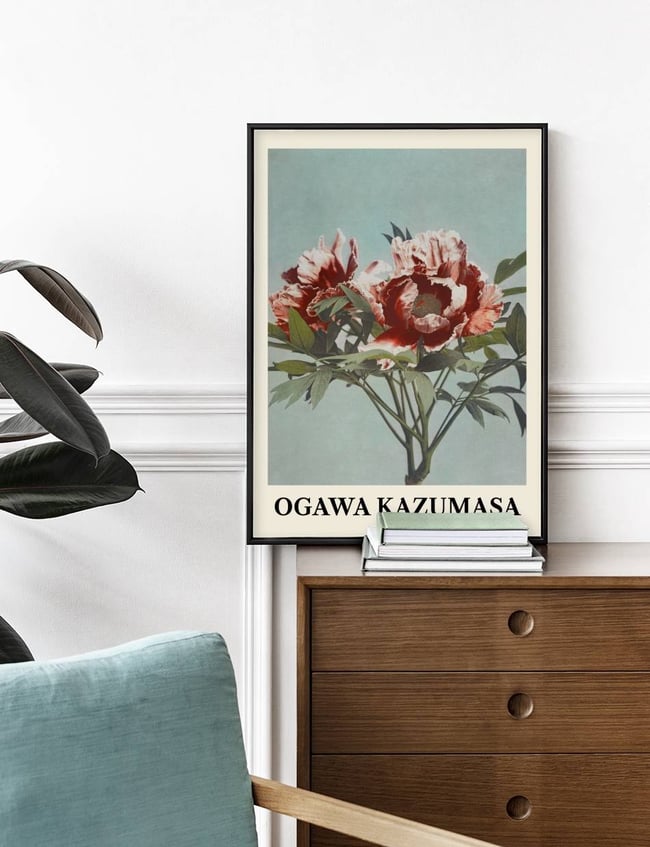 Tree Peony - Ogawa Kazumasa