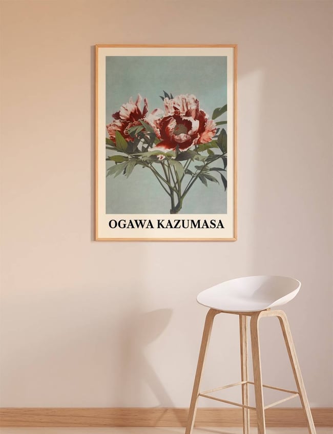 Tree Peony - Ogawa Kazumasa