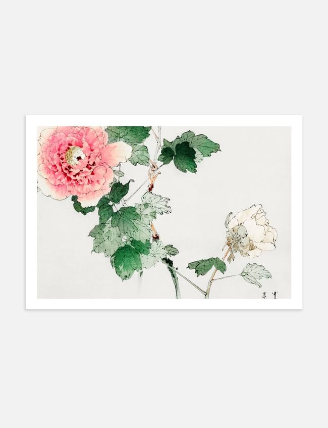Tree Peony - Taguchi Tomoki