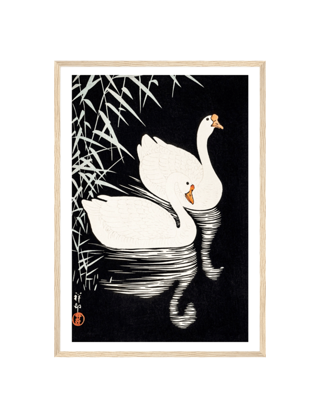 White Chinese Geese Swimming - Ohara Koson