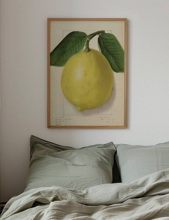 Citrus limon: American Wonder - Ellen Isham Schutt