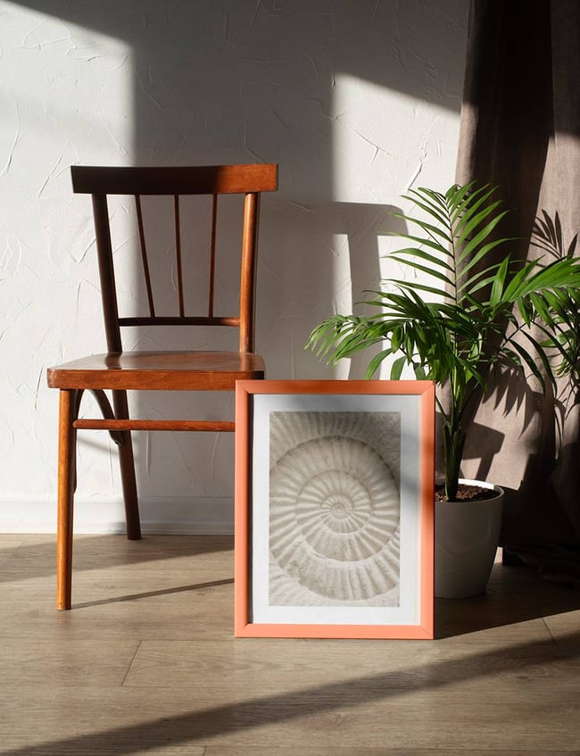 Ancient Spiral Shell