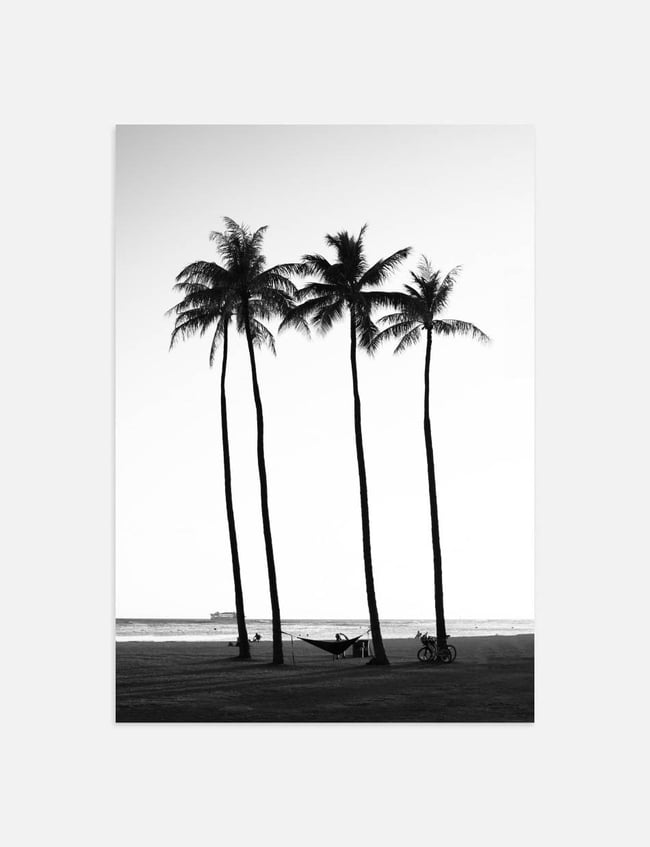 Beachside Palms