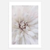 Blossom Detail