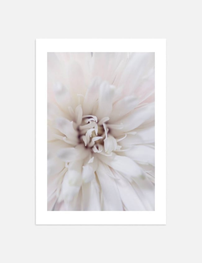 Blossom Detail