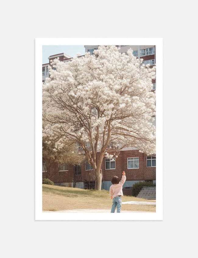 Blossom Gaze