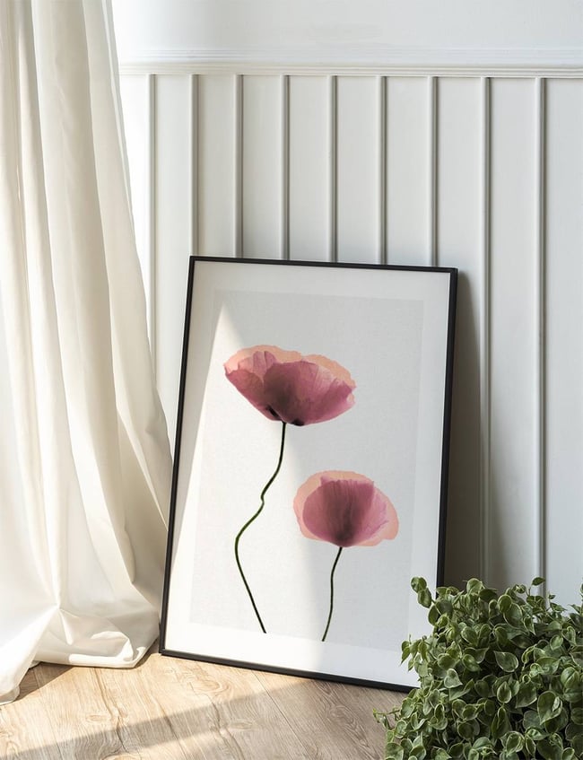 Blush Poppies