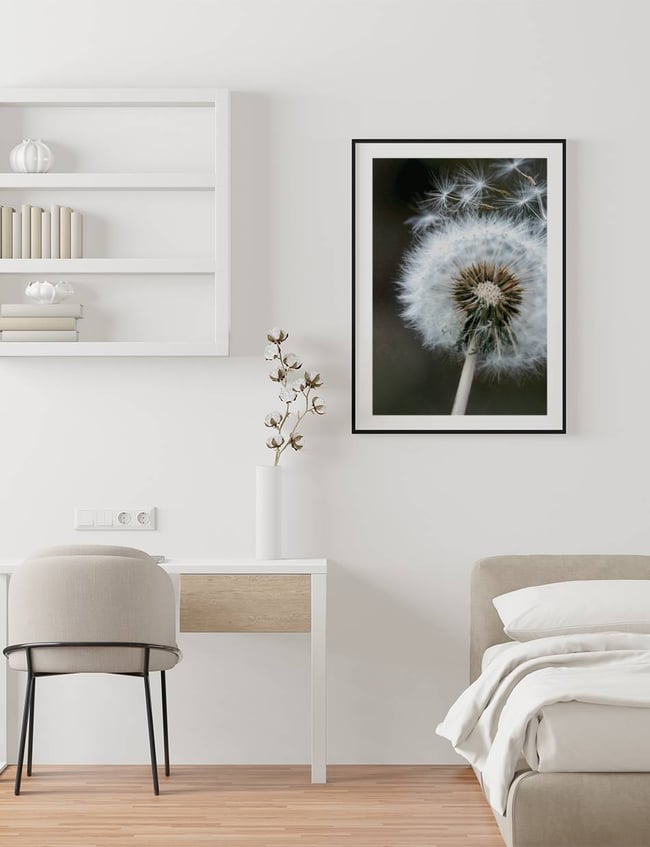 Dandelion in the wind