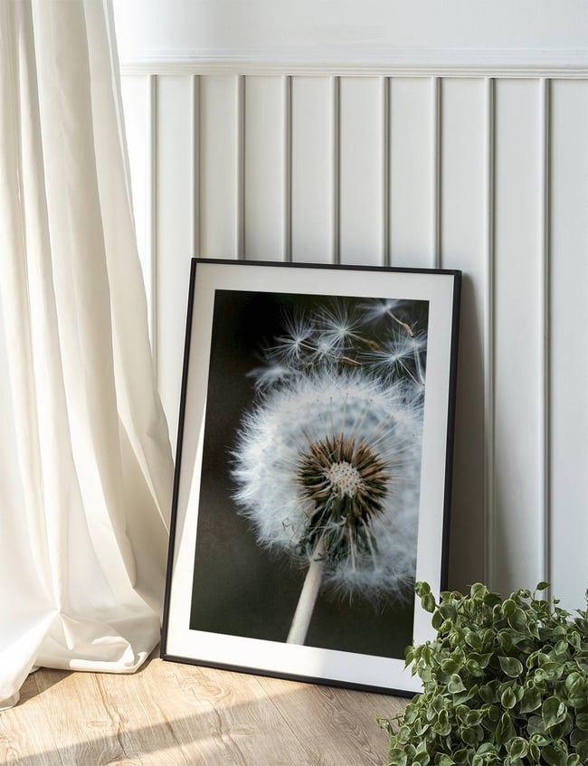 Dandelion in the wind