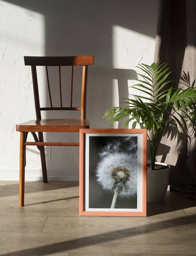 Dandelion in the wind