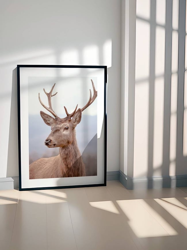 Deer in Snowy Terrain