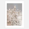 Dried Blossoms