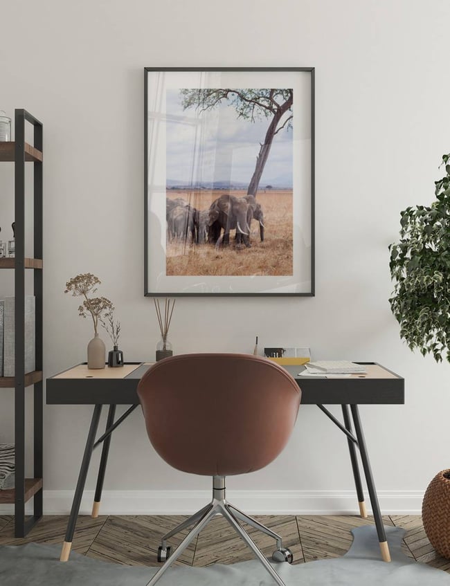 elephant Family