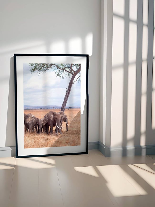 elephant Family