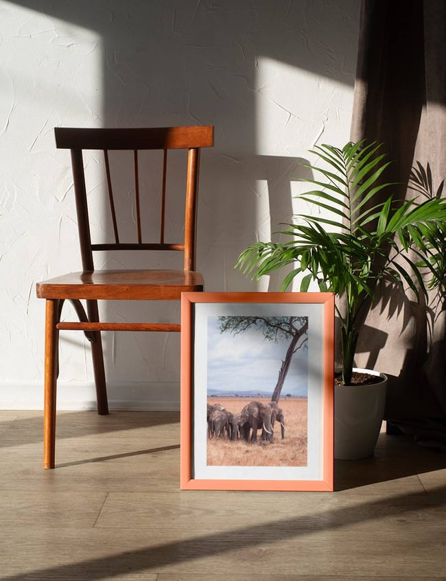 elephant Family