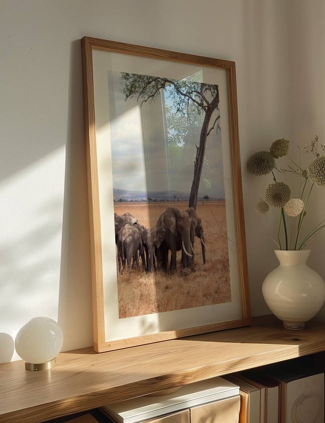 elephant Family