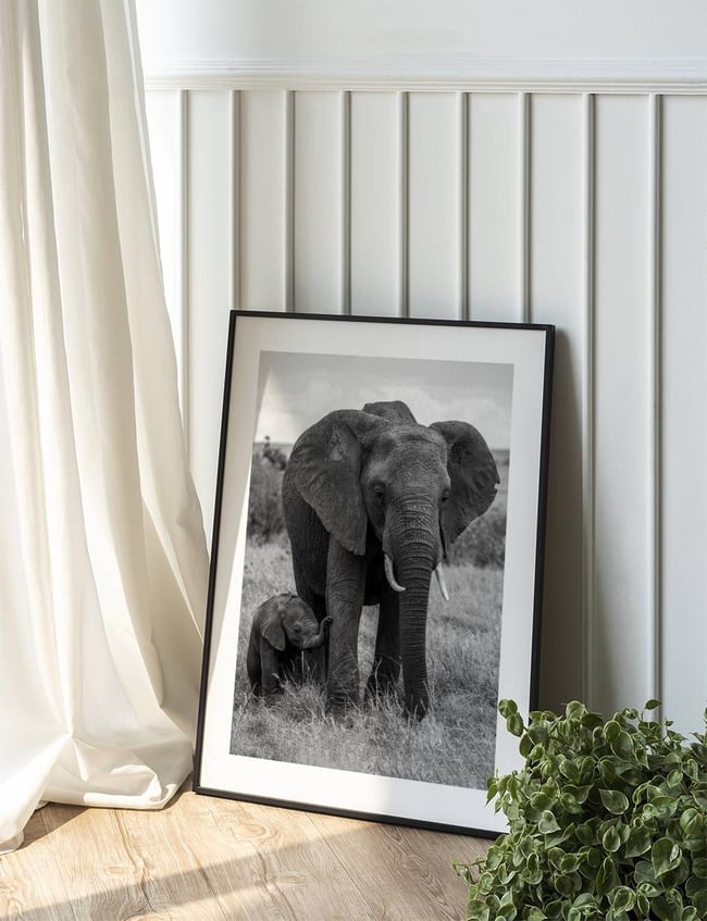 Elephant Mother