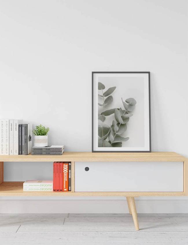 Eucalyptus Leafs