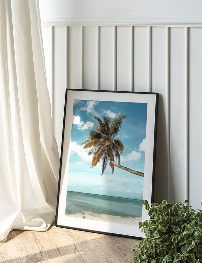 Exotic Shore