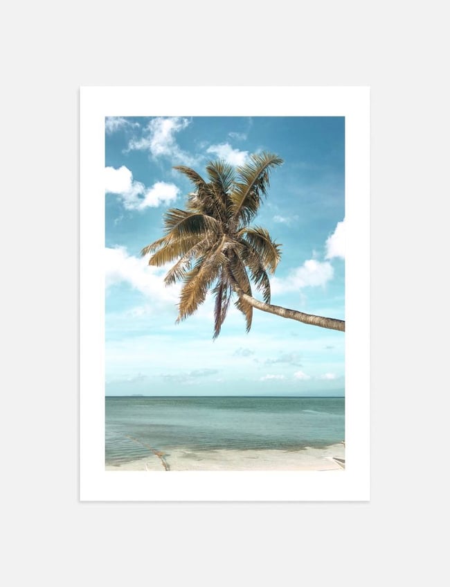 Exotic Shore