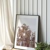 Fall Scenery 02