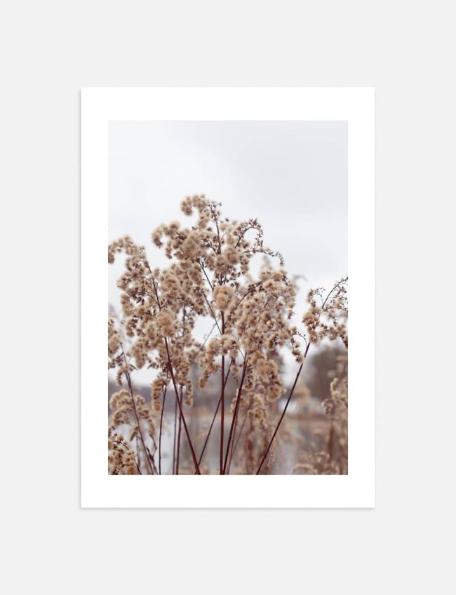 Fall Scenery 02