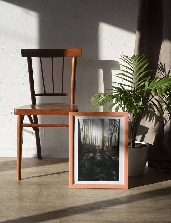 Forest Sunbeams