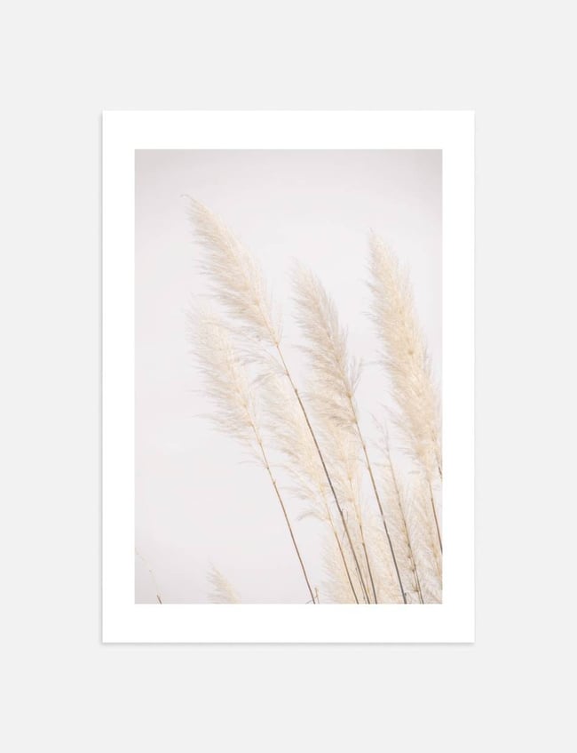 Golden Grass