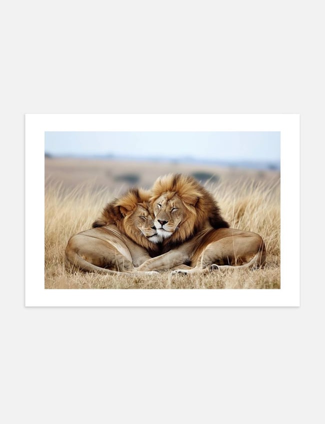 Lion Brothers