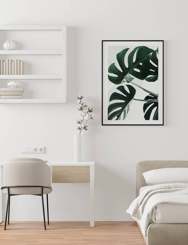 Monstera Trio