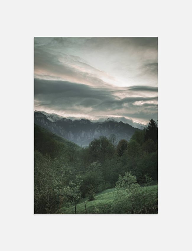Mountainous Forest
