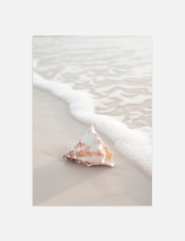 Ocean Whisper