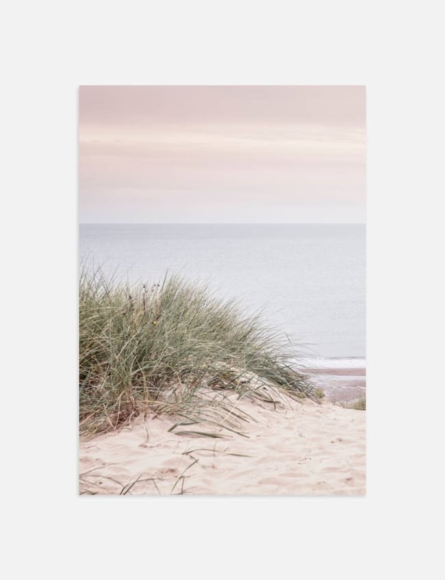 Sandy Shoreline 01
