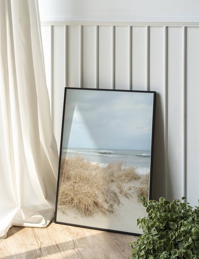Sandy Shoreline