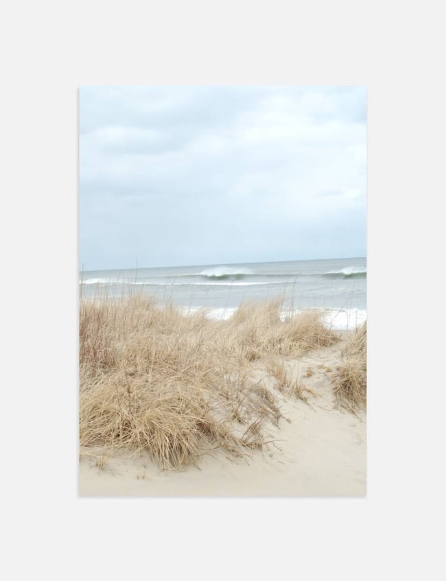 Sandy Shoreline