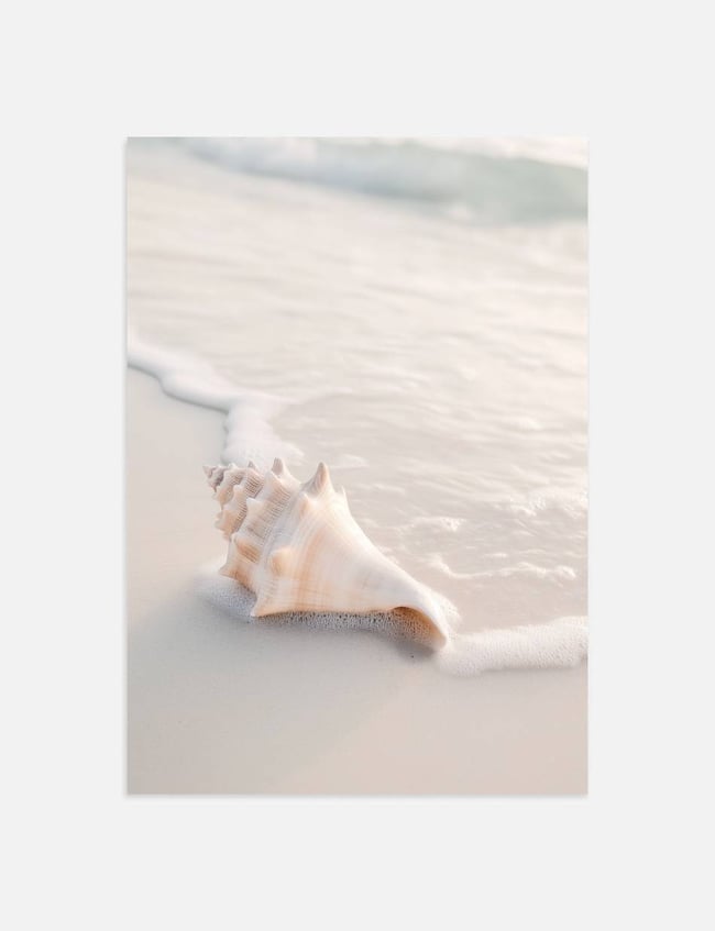 Seashell Symphony