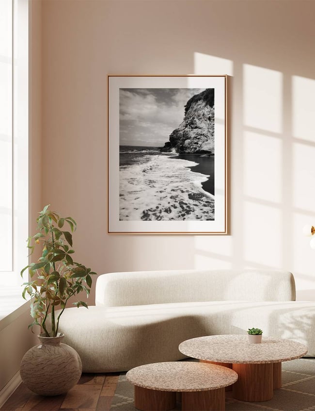 Tranquil Cove