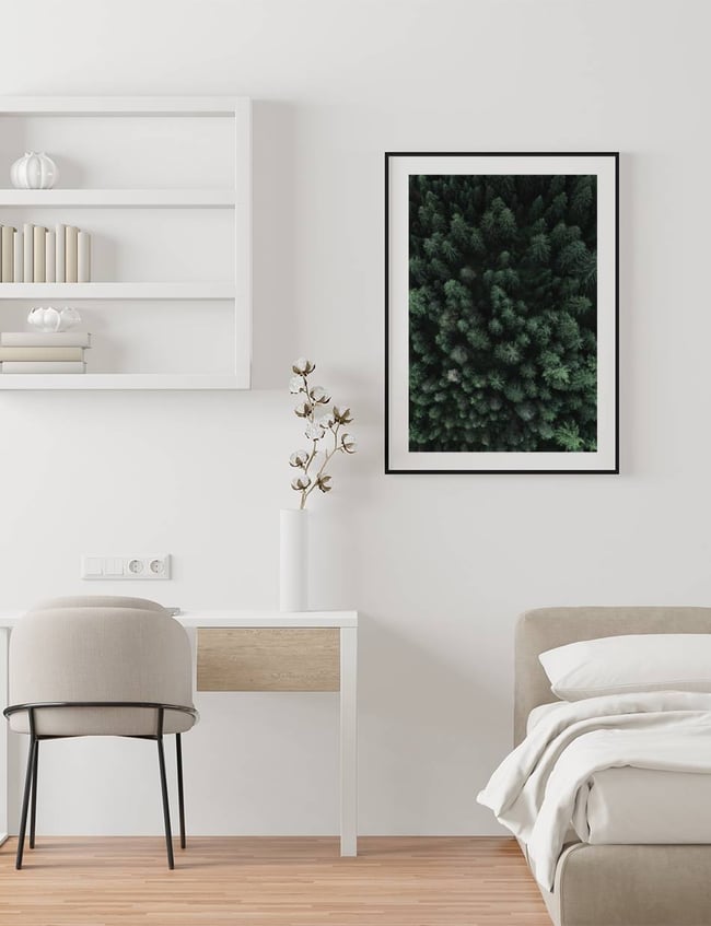 Trees from above