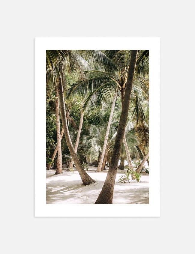 Tropical Wilderness
