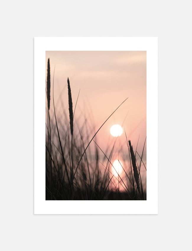 Twilight Meadow