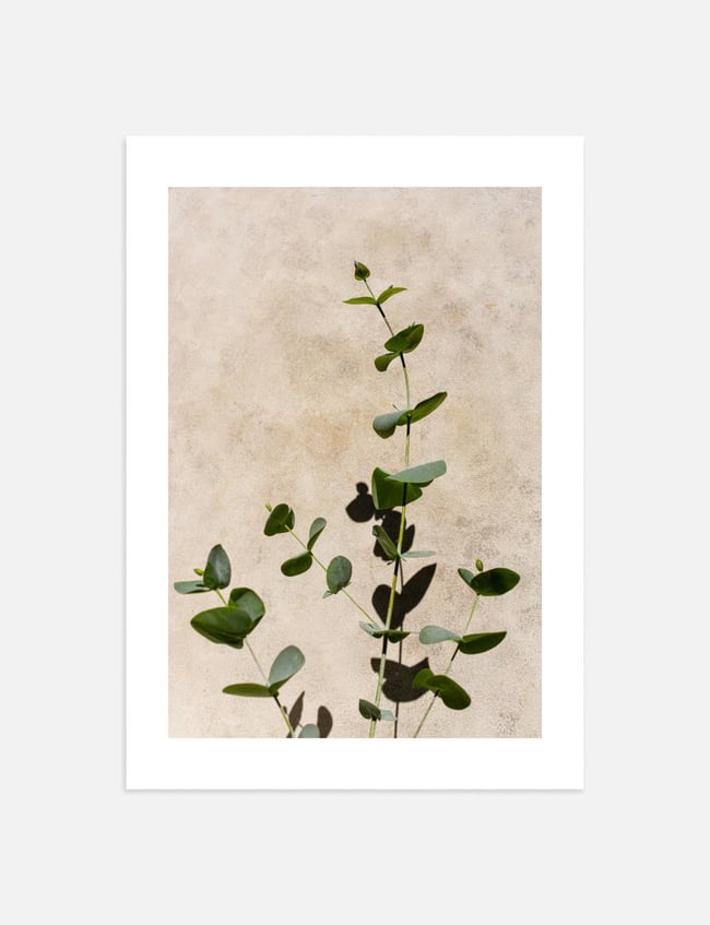 Urban Flora