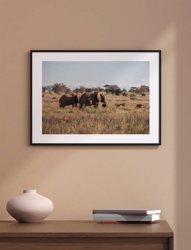 Wild Elephants